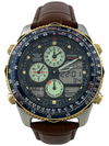 Citizen Promaster WR 100 World-Timer Quartz Chronograph Ana-Digi